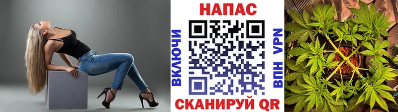 где купить наркоту  Верхний Тагил  Шишки марихуана семена 